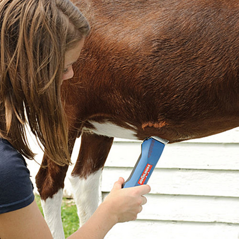 Animal Clipping