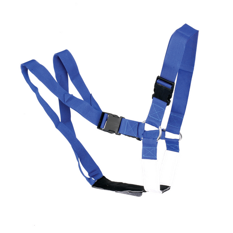 RAM HARNESS SUPER BLUE