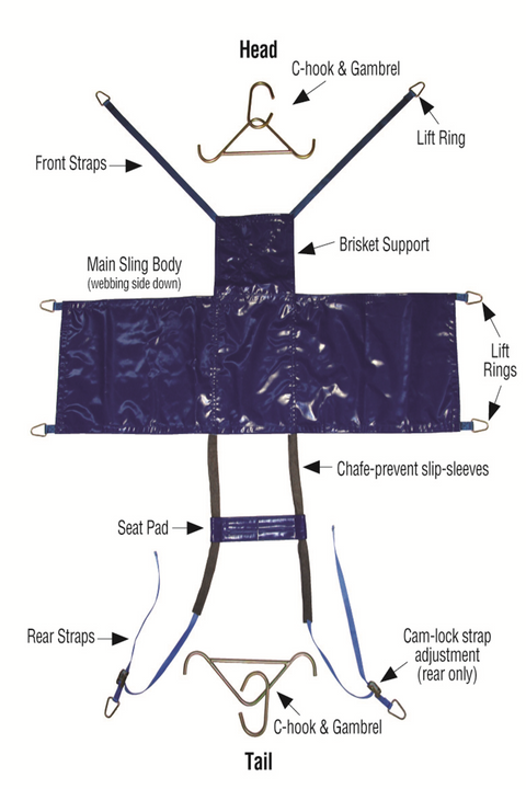COW DAISY LIFTER HD XL SHOOF