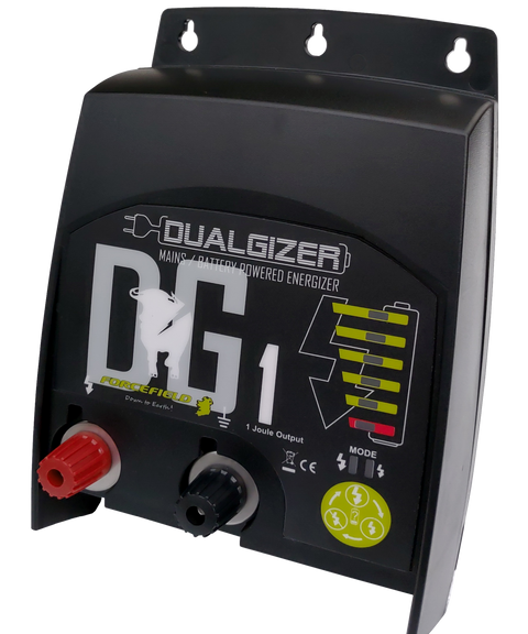 DG1