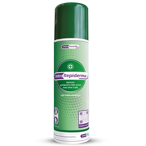 Intra Repiderma Aerosol 250Ml